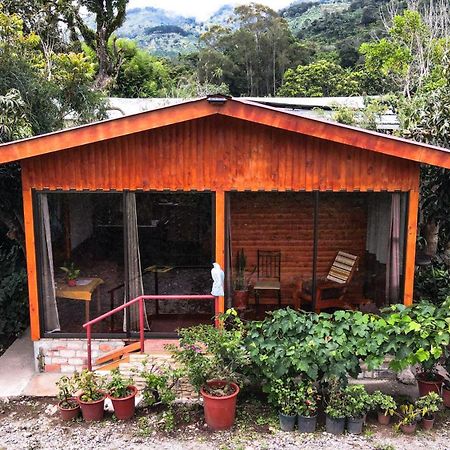 Cozy Woodcabin Santa Maria Ngoại thất bức ảnh